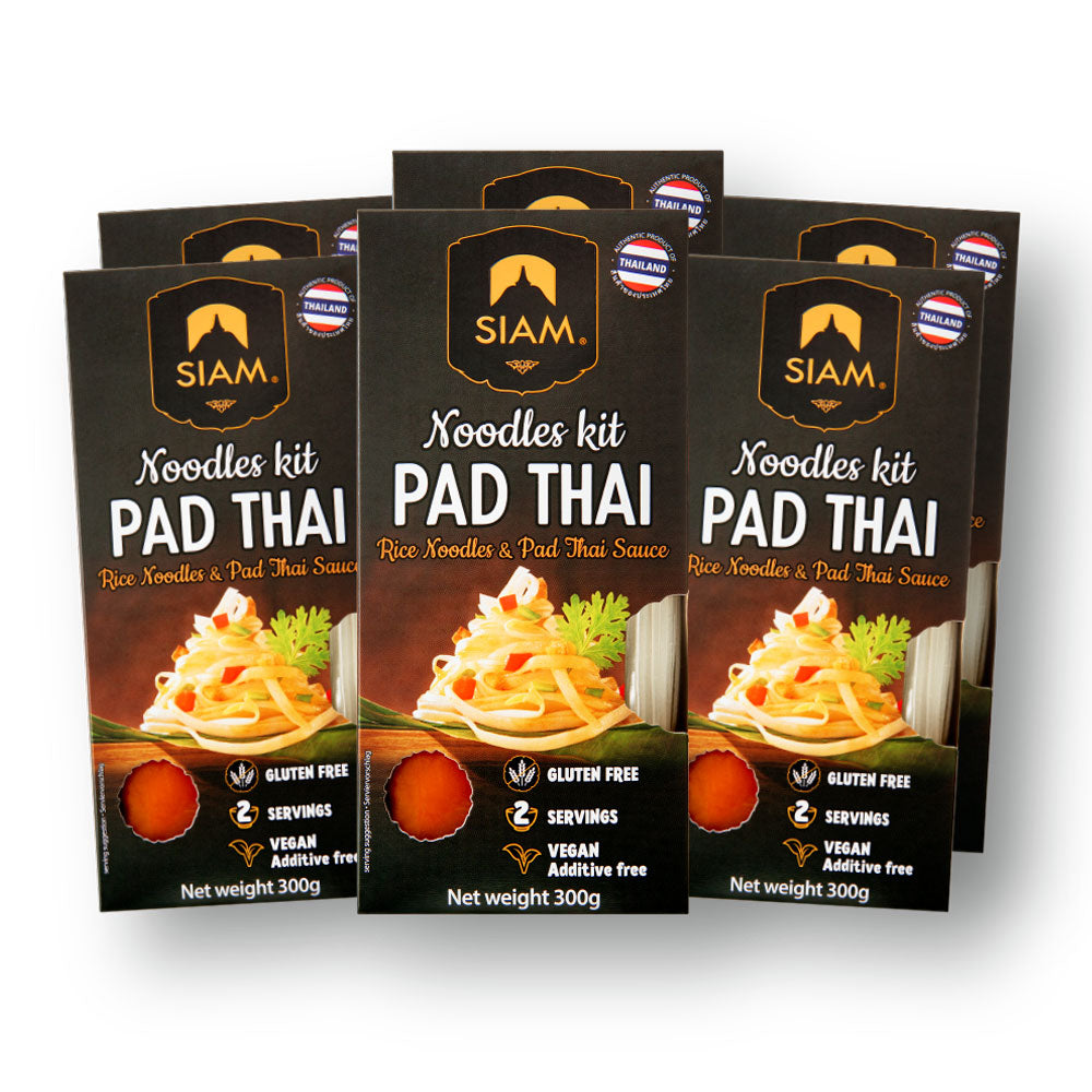 Pad Thai noodles kit 300g